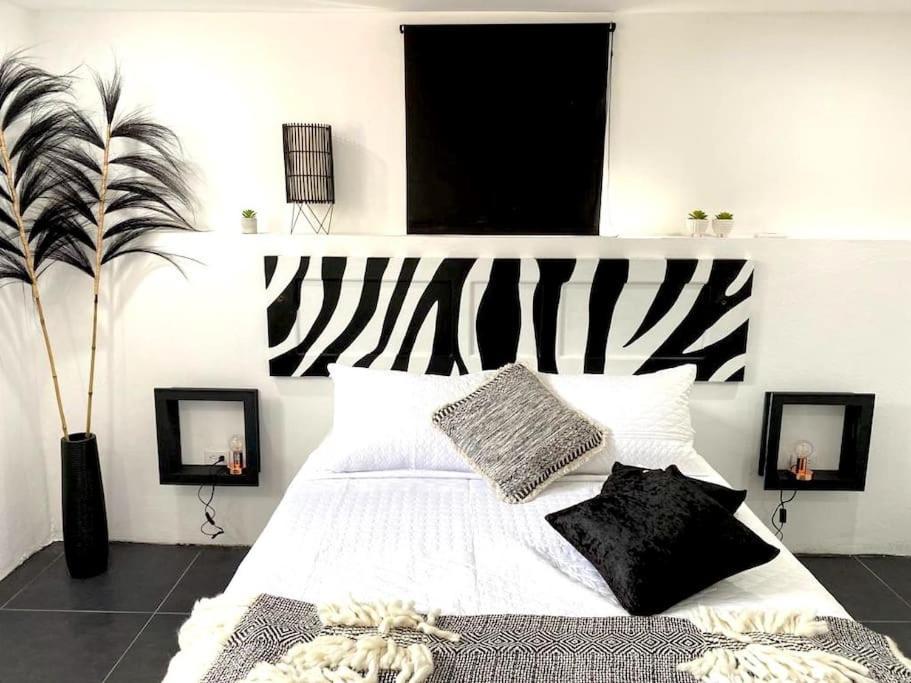 אורנג'סטאד Paradiso Apartments - 1 Bdr מראה חיצוני תמונה